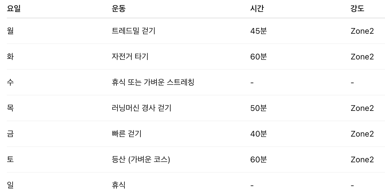 Zone2운동 일주일 운동표 예시