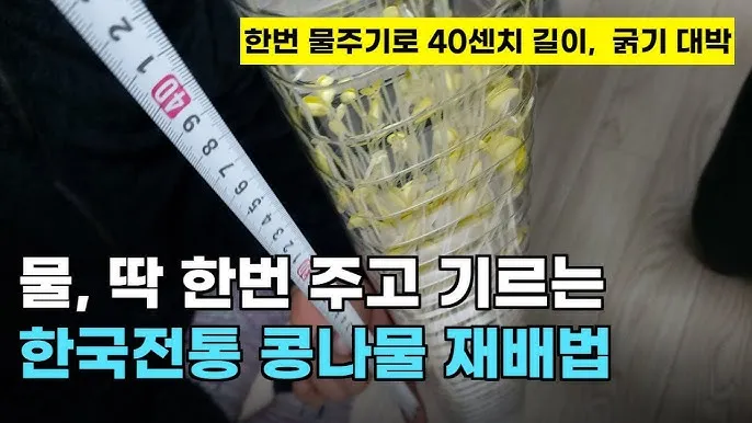 한국 전통 길이 단위 자 발 치 마 얼마일까_5