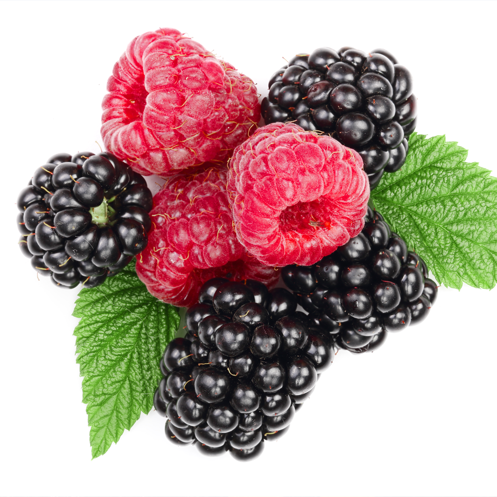 2025 청원생명축제&amp;#44; 가족 농촌체험