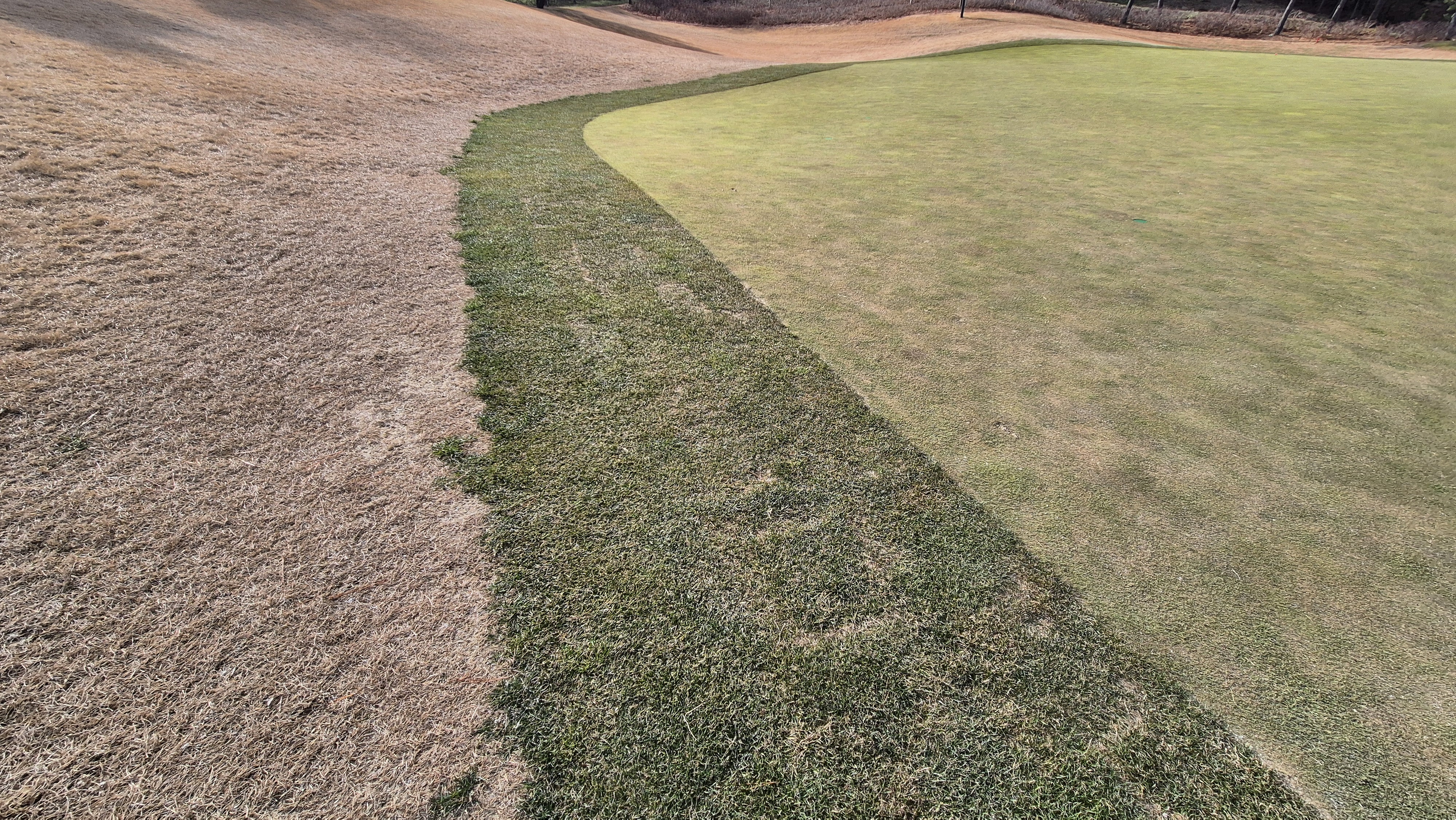 더헤븐cc 사우스-웨스트 코스 그린관리상태