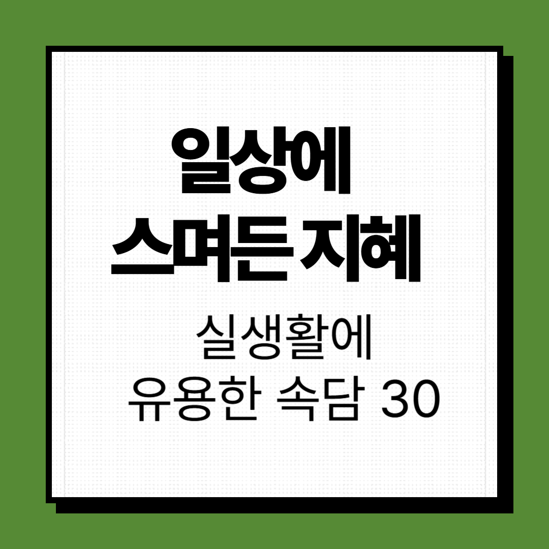 유용한 속담 30