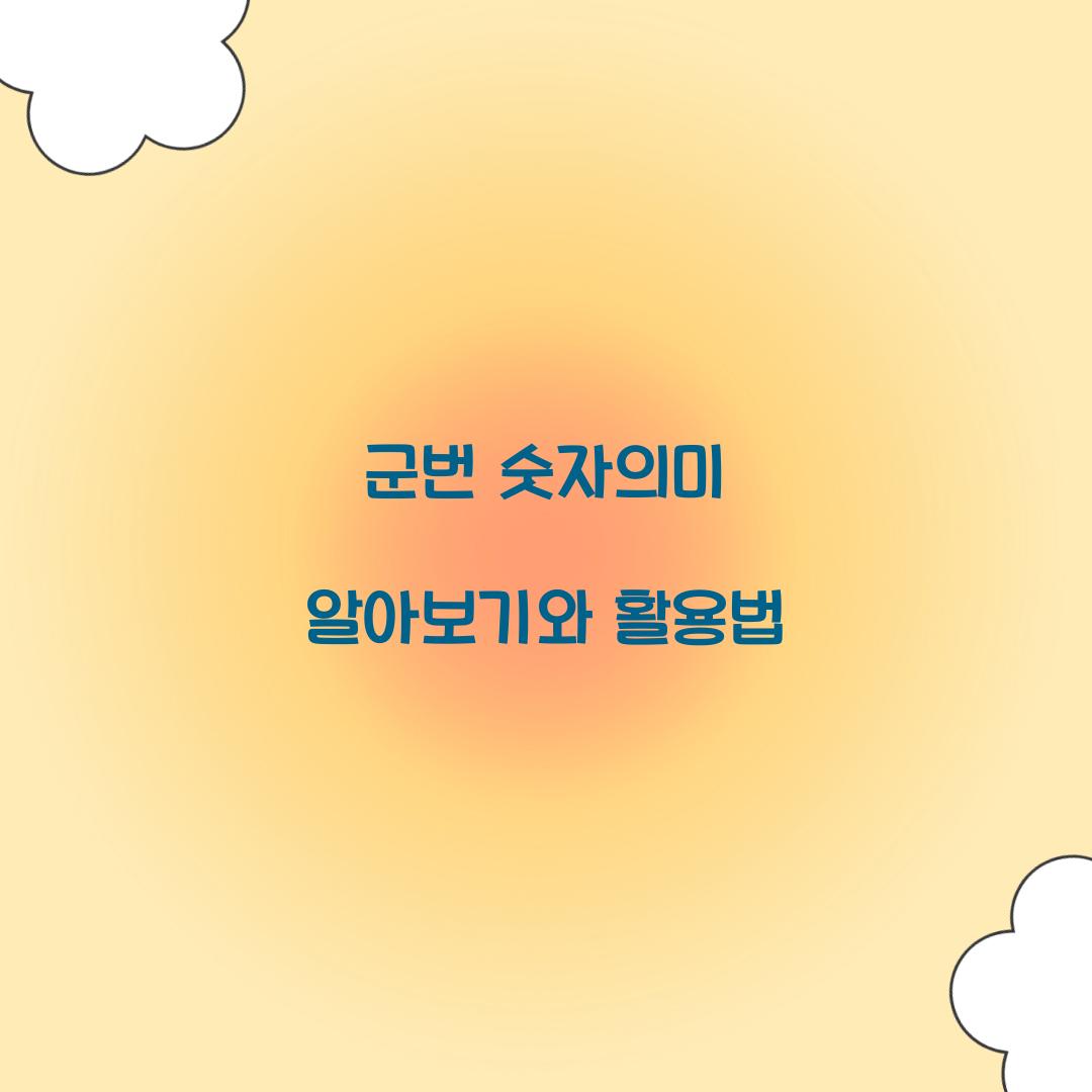군번 숫자의미