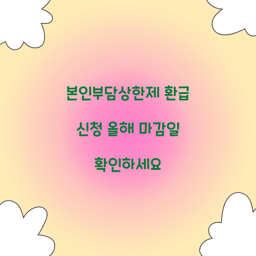 본인부담상한제 환급 신청 올해 마감일 확인하세요