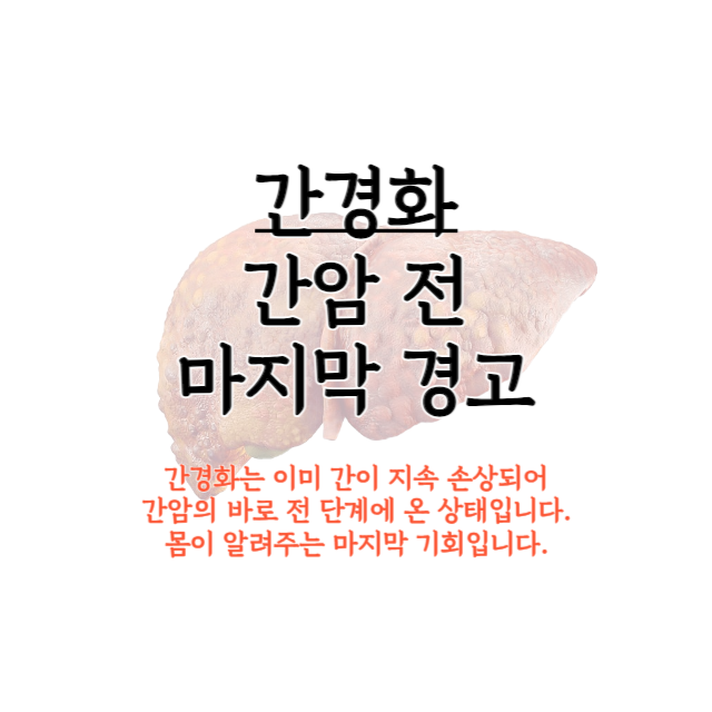 간경화-초기-증상