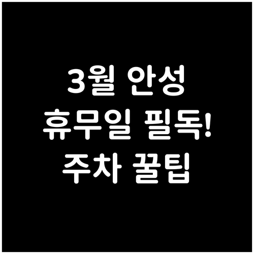3월 안성 트레이더스 방문 전 꼭 확..