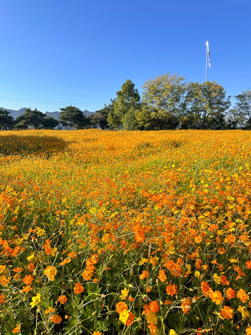 아이랑 여행할 때 챙겨야 할 필수 아이템 리스트