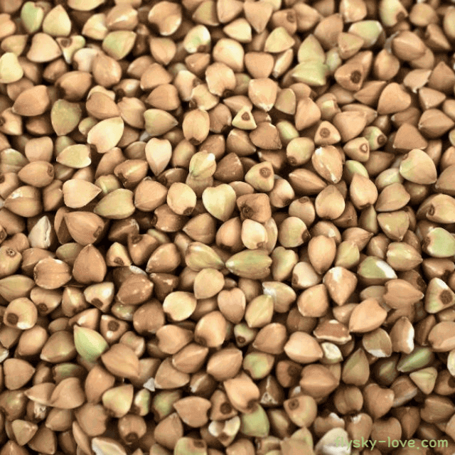 메밀 고르는 법