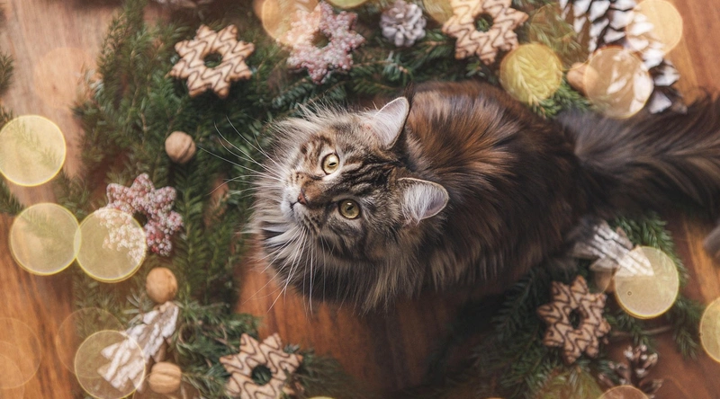 자재별 비용 비교