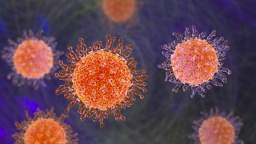 코로나 바이러스 격리기간