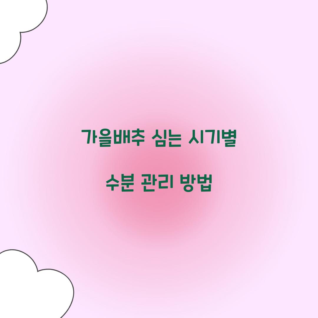가을배추 심는 시기별 수분 관리 방법