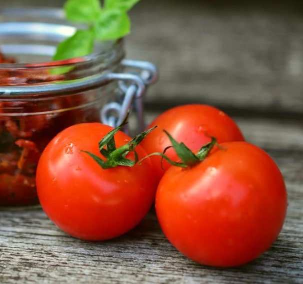 전립선에 좋은 음식