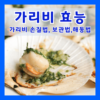 가리비 효능 신선한 가리비 선택법과 보관법 가리비 해동법