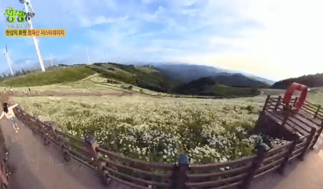 평창 가볼만한 곳 육백마지기