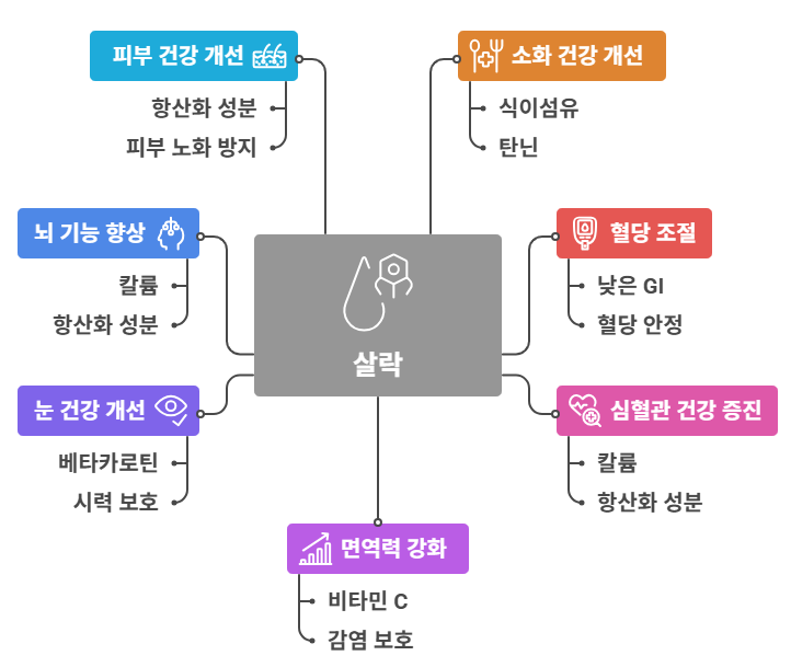살락 효능