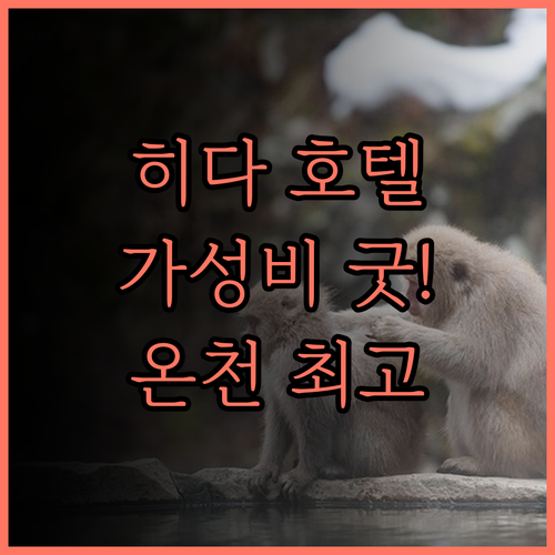 호텔 윙 인터내셔널 히다 타카야마..