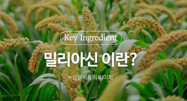 케라넷-효능