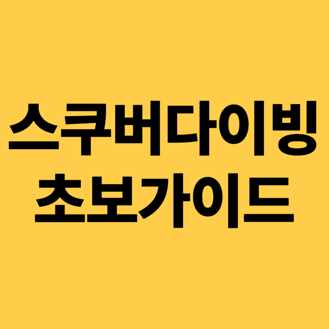 스쿠버다이빙 초보가이드