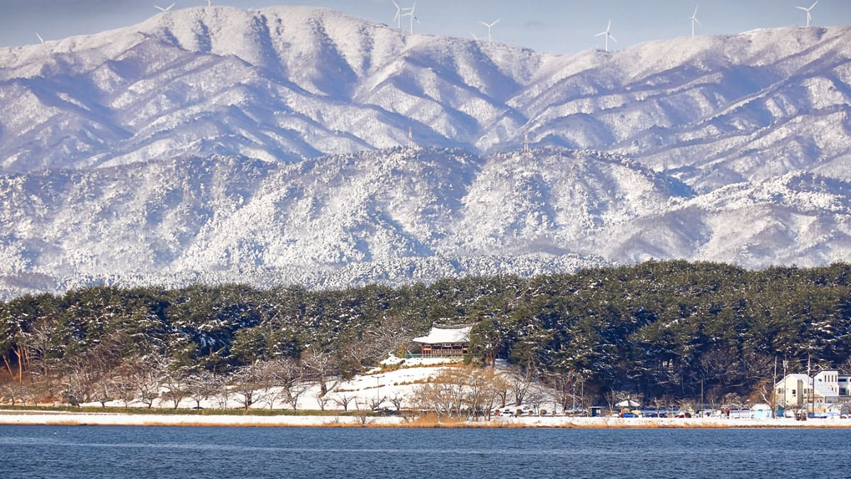 강원도 겨울 여행 명소 추천, 바다&middot;호수&middot;야경 BEST 4
