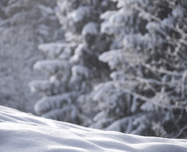 겨울 해외 여행 추천