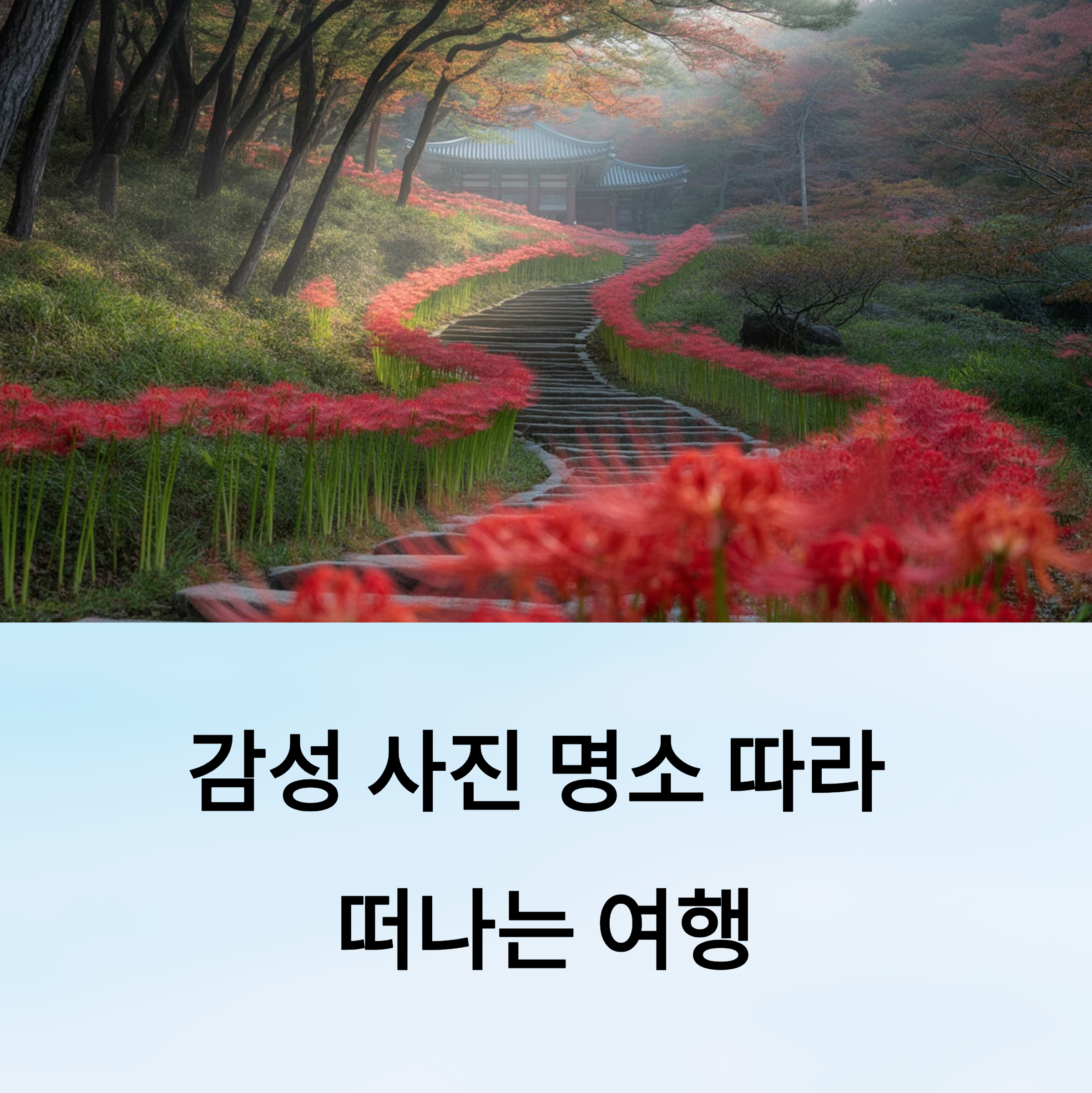 감성 사진 명소 따라 떠나는 여행