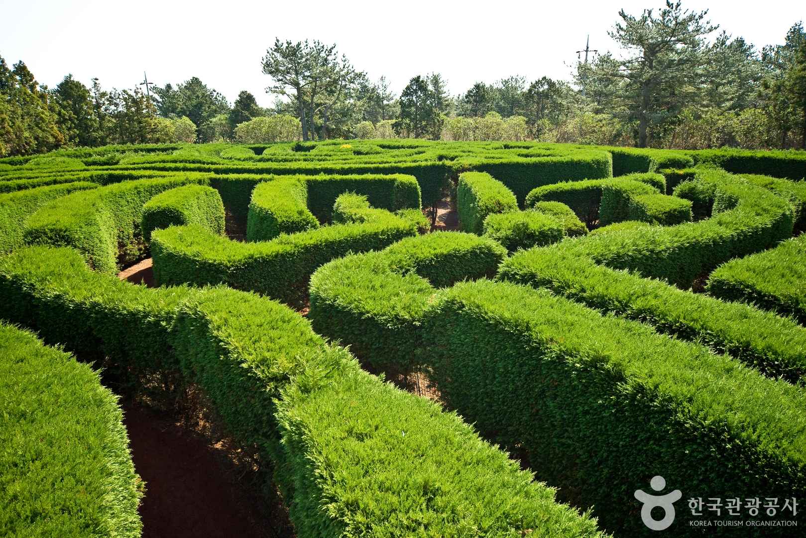 제주 김녕미로공원