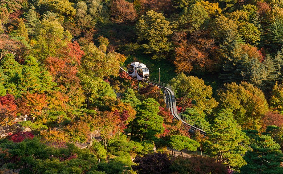 화담숲 모노레일 예약 꿀팁