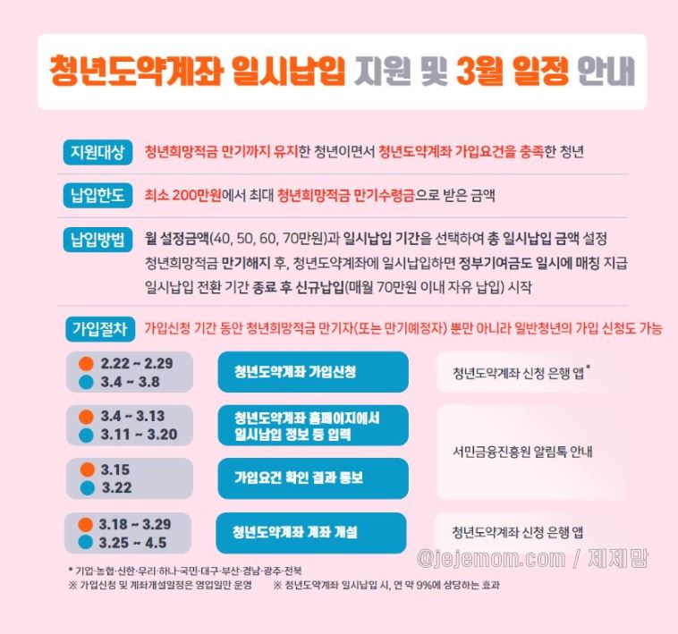 청년도약계좌 일시납 일정