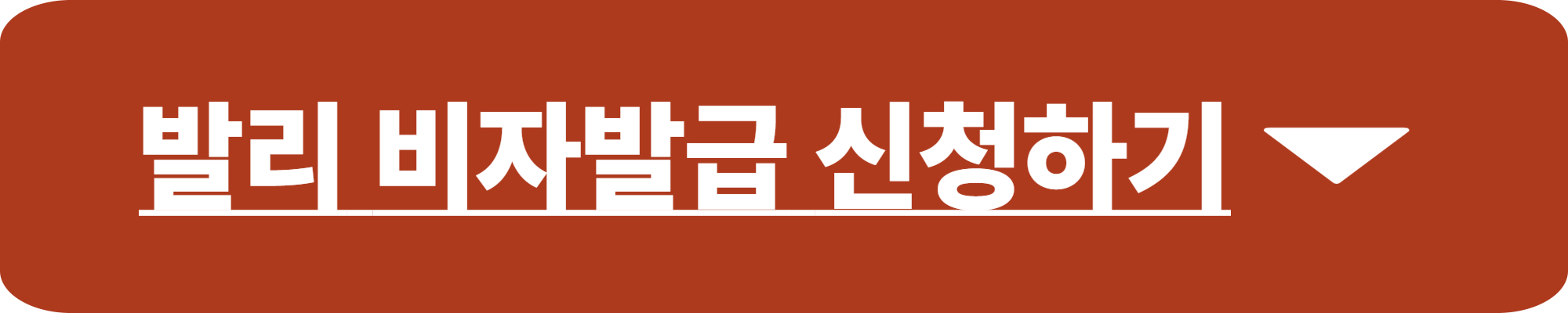 발리 비자발급