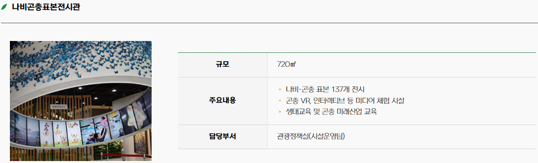 함평 나비 축제29