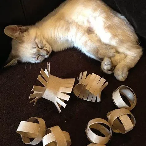 직접 만드는 DIY 고양이 장난감 베스트