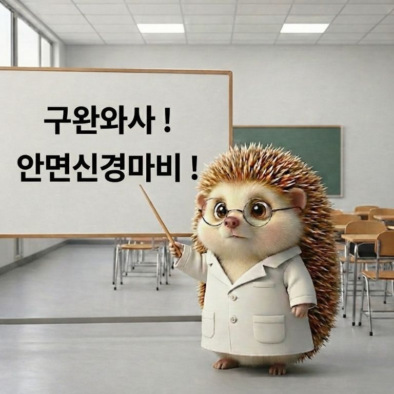 구완와사와 안면신경마비라는 단어가 쓰여진 화이트보드판을 가리키면서 설명하고 있는 도치씨 모습