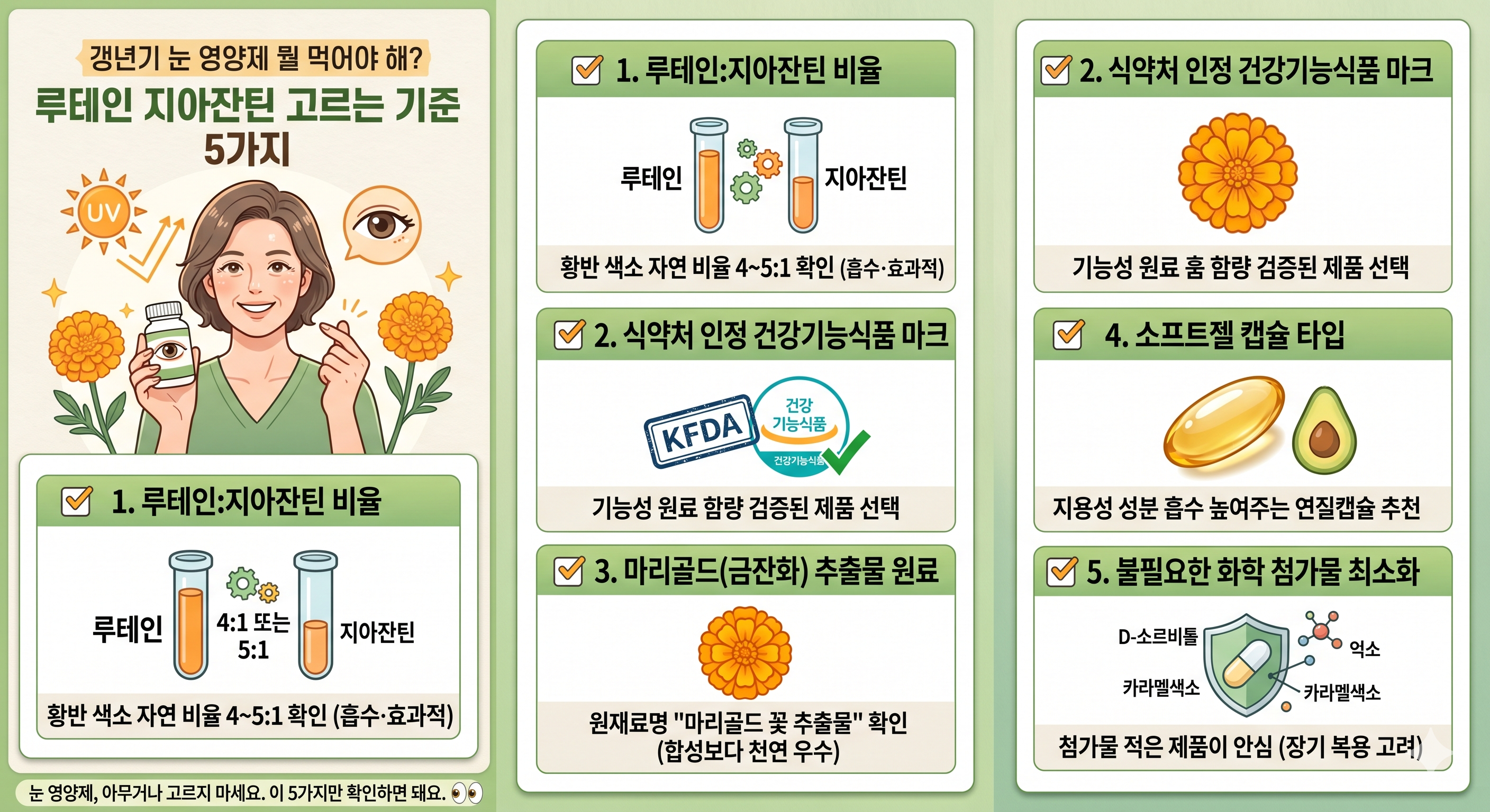 갱년기 눈 영양제 루테인 지아잔틴 고르는 기준 5가지 인포그래픽 비율 확인 식약처 마크 마리골드 추출물 소프트젤 캡슐 화학 첨가물 최소화