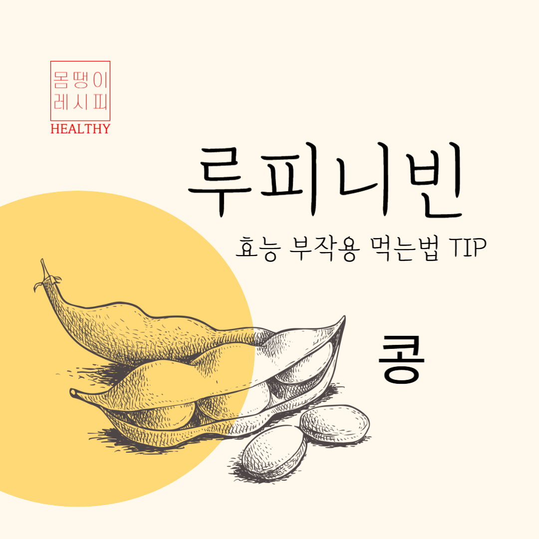 루피니빈 효능, 부작용, 먹는 법 총정리