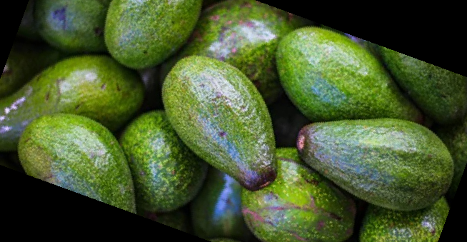 아보카도 보관법