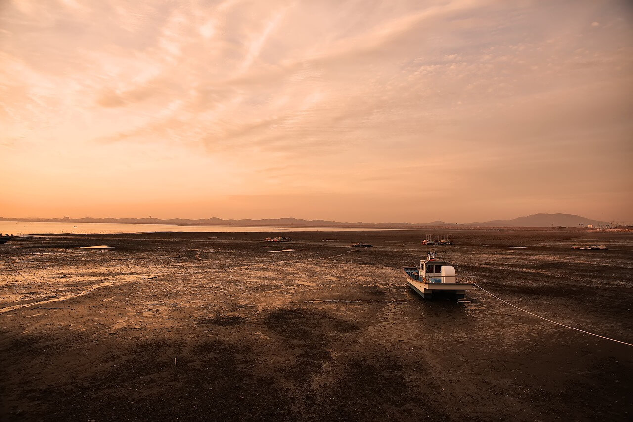 드르니항 맛집부터 튤립축제까지&amp;#44; 태안 1일 코스 총정리
