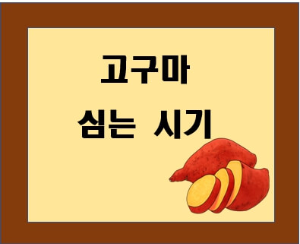고구마 심는 시기