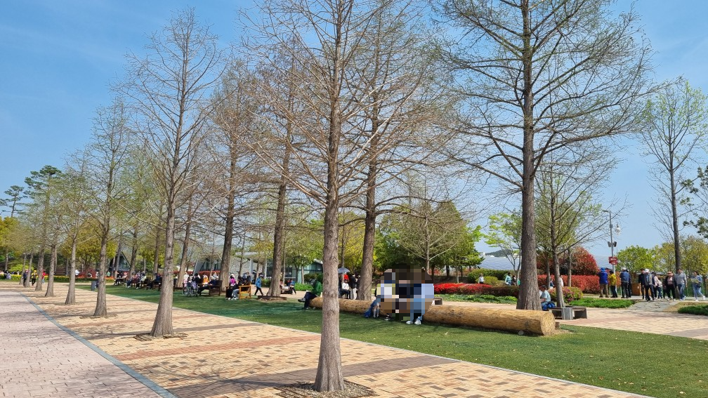 순천만 국가정원 동문 관람 코스 (24년4월10일 기준 사진)