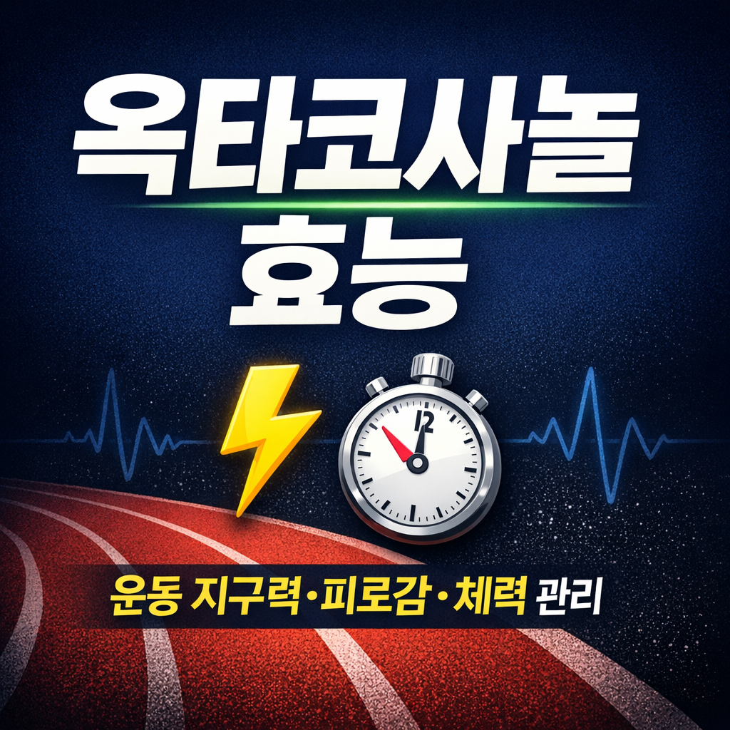 옥타코사놀 효능 총정리 운동 지구력 피로감 체력 관리 포인트