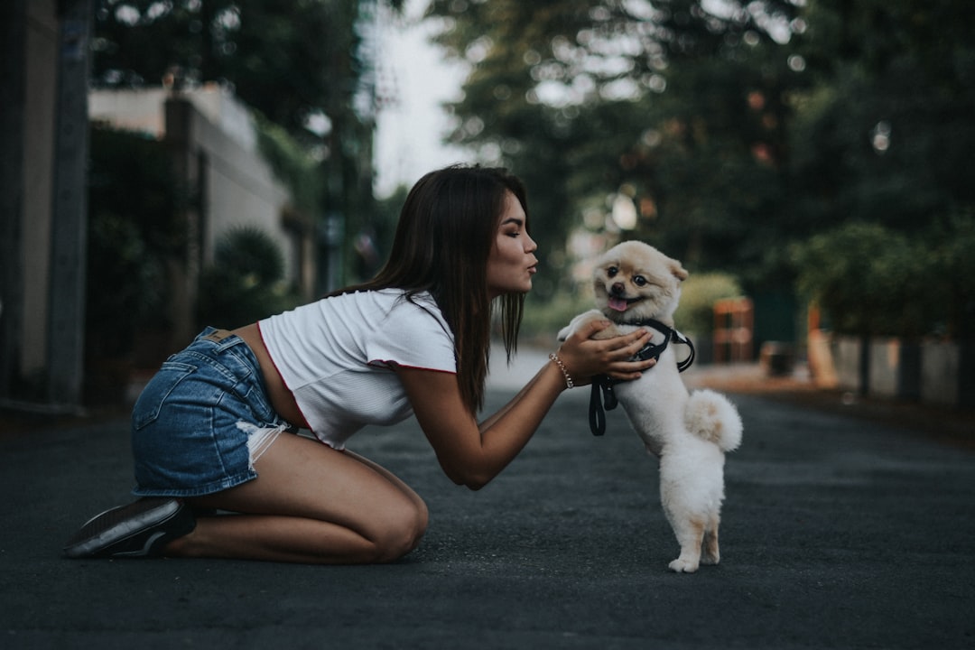 Pet Show