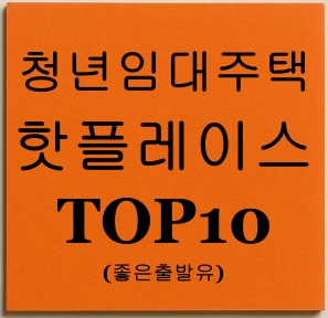 청년임대주택 핫플레이스 TOP10