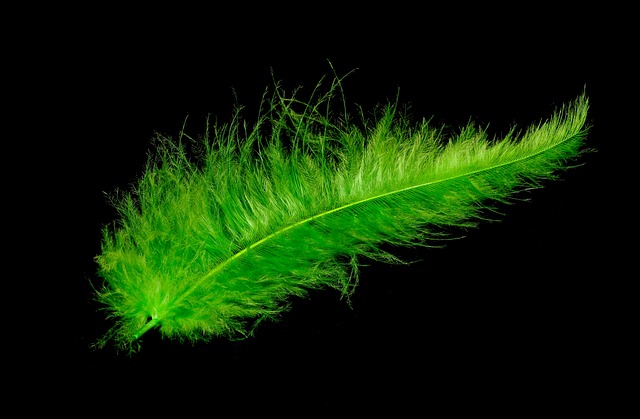 장자의 소요유: 진정한 자유란 무엇인가