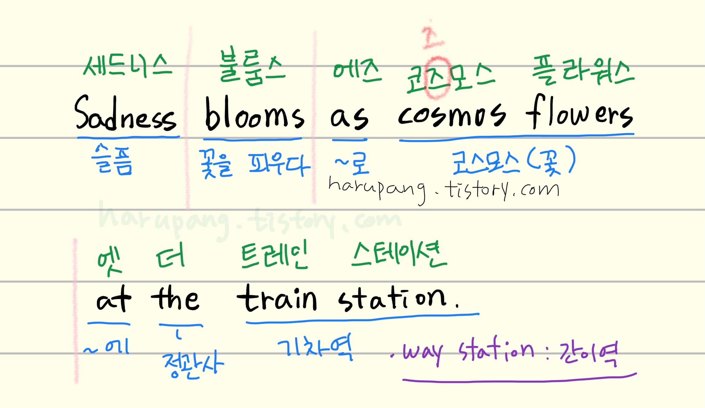 노래 '너의 의미' 중 가사 '슬픔은 간이역에 코스모스로 피고' 를 영어 번역한 문장 Sadness blooms as cosmos flowers at the train stion. 을 해석하고 단어를 분석한 것을 정리한 노트.