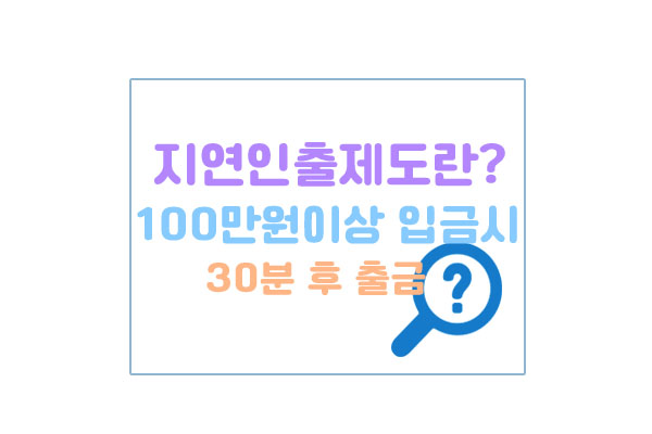 지연인출제도대표이미지