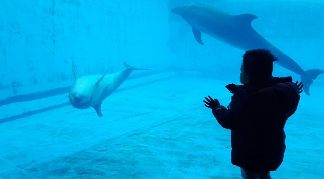 거제 씨월드 사진