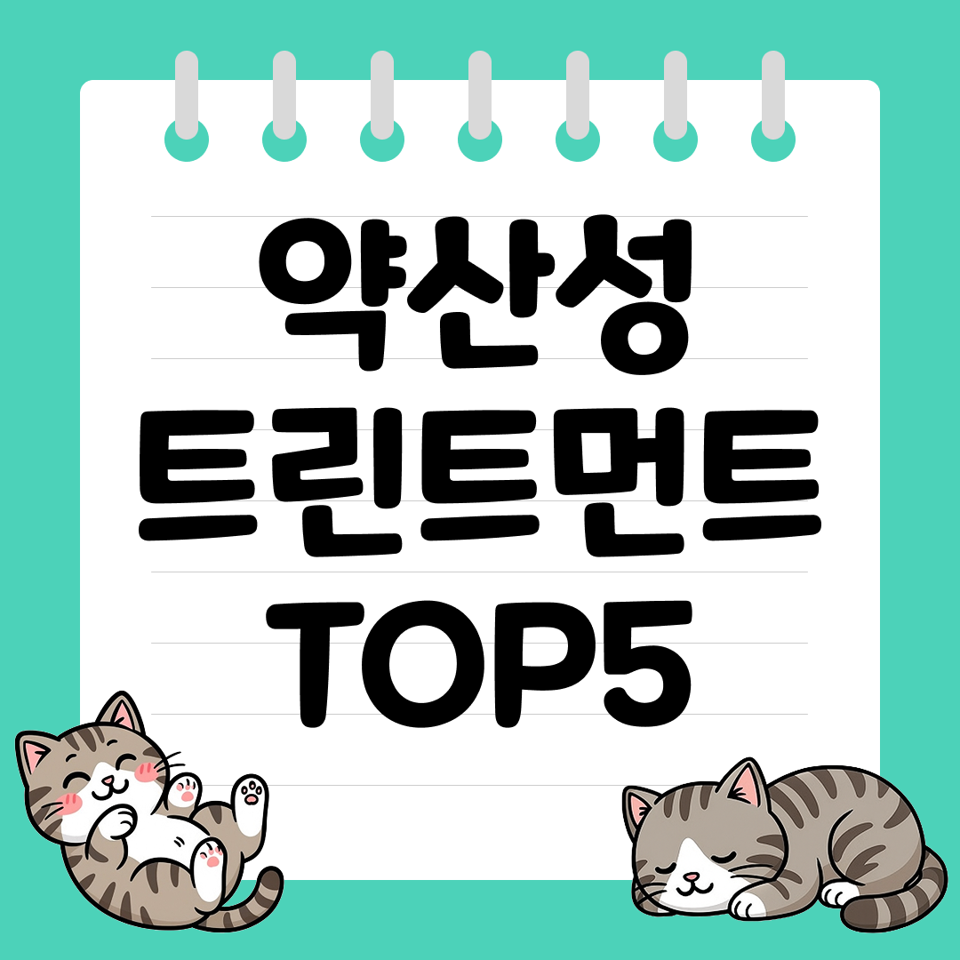 머리 시술 자주 하는 사람을 위한 약산성 트리트먼트 추천 순위 TOP5