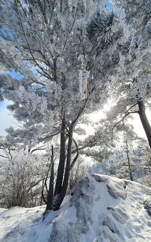 가리산