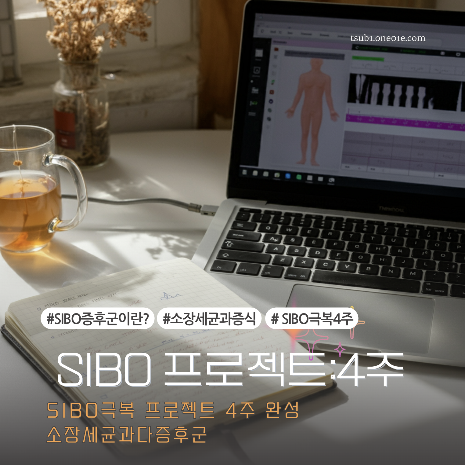 SIBO증후군 극복 4주 프로젝트