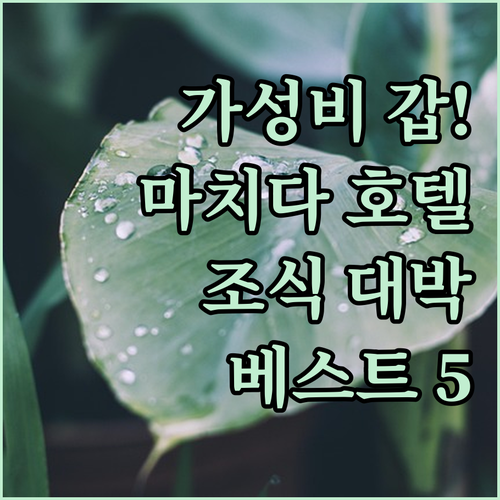 요코하마 마치다 가성비 호텔 베스트 ..
