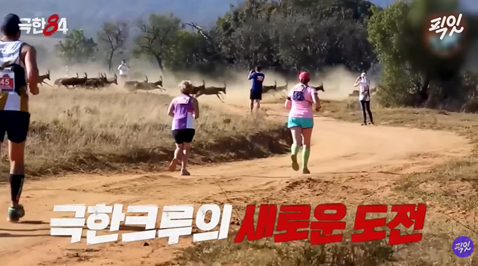 표범과 사자와 코끼리가 날뛰는 공간에서 마라톤을 하라뇨 | 인스티즈