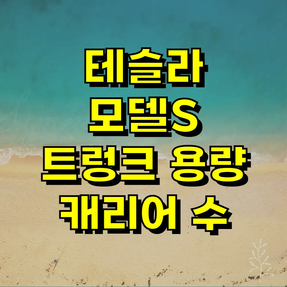 테슬라 모델S 트렁크 용량 캐리어 수